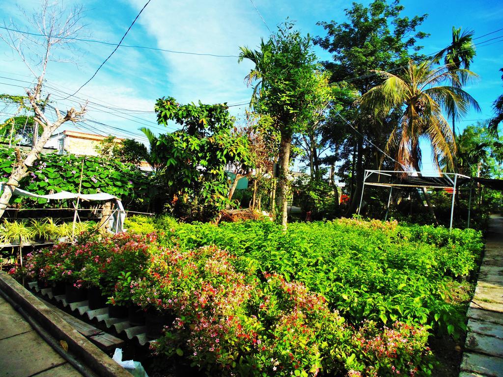 Flower & Frog Homestay Sa Dec Buitenkant foto